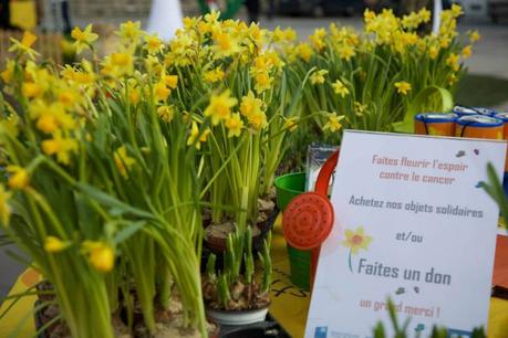 FAITES UN DON : Une Jonquille Pour Curie
