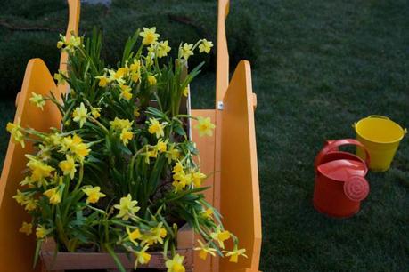 FAITES UN DON : Une Jonquille Pour Curie