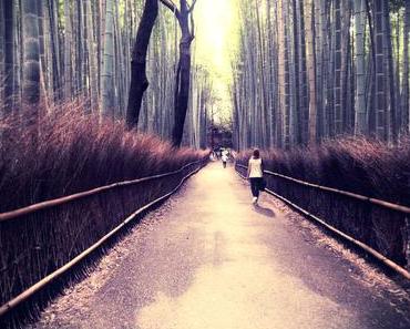 Second voyage au Japon - Carnet de voyage : Arashiyama & Nijo-jô