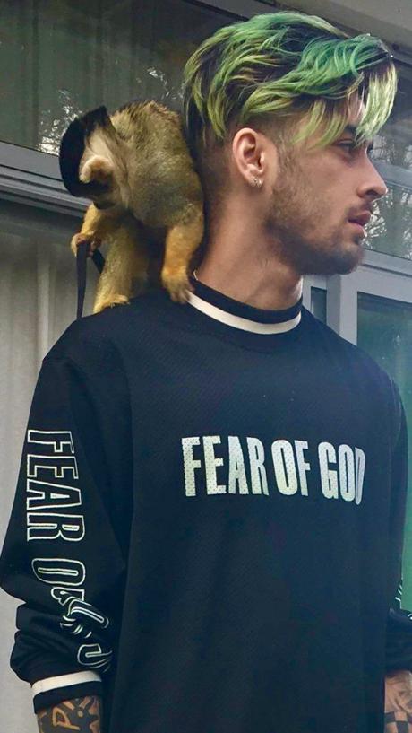 STYLE : Zayn, a monkey and a Fear of God jersey