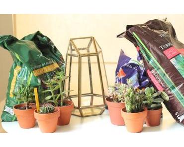 Tutoriel : réaliser un terrarium