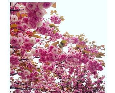 wallpaper-1689754