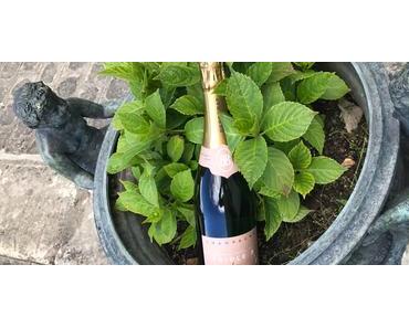 (Fête des Mères) Bulles d’amour avec « Triple B » : le champagne bio de Besserat de Bellefon