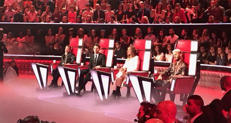 En VIP, lors de la Saison 6 de l’émission The Voice de TF1