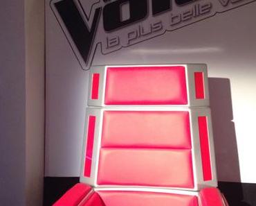 En VIP, lors de la Saison 6 de l’émission The Voice de TF1