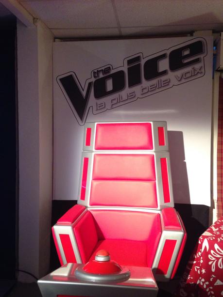 En VIP, lors de la Saison 6 de l’émission The Voice de TF1