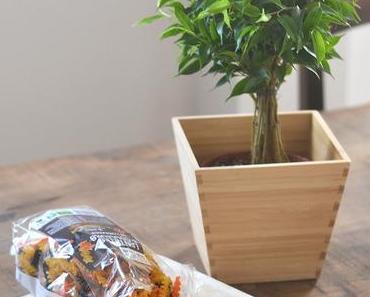 #Recette : Lentilles au lait curry coco