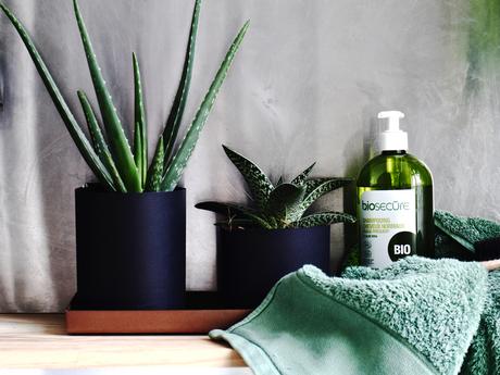 plante masculine grasse aloe vera mec torse nu boy french botanic blog vertus detox cocktail aloe vera ma plante mon bonheur