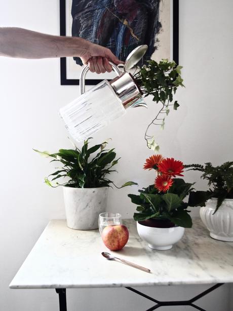 Oxygéner et décorer sa maison ou son appartement c'est possible en un seul coup grâce aux plantes purifiantes ! 