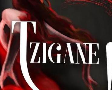 Spectacle – Allez voir TZIGANE !
