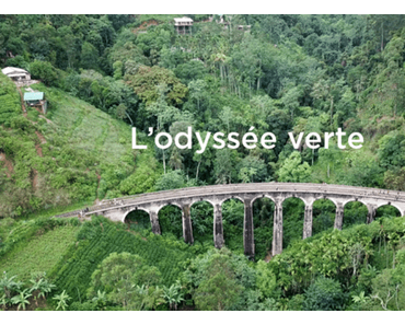 22 Avril : De Beaux projets pour la Journée de la Terre #SolidaritéTLM