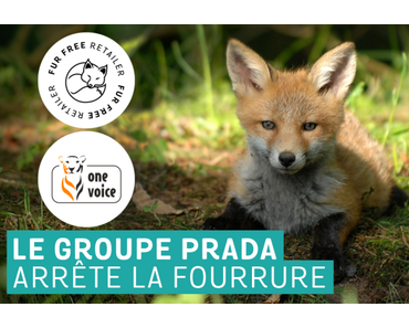 Prada, sans-fourrure et avec label Fur Free Retailer