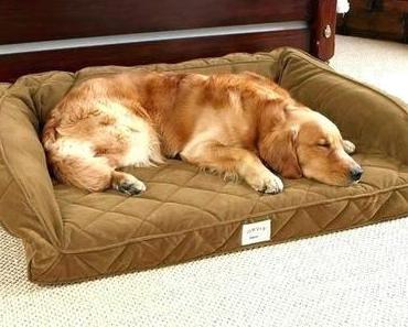 Sams Club Dog Bed