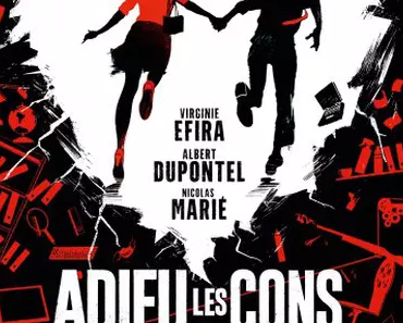 Film Adieu Les Cons