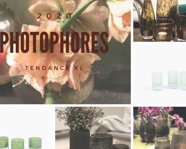 Tendance Déco : Que nous réserve cette fin d’année ?