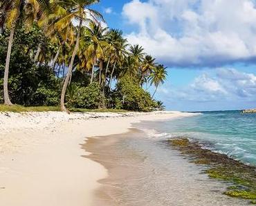10 jours au paradis en Guadeloupe ! Mon top 7 des activités à faire
