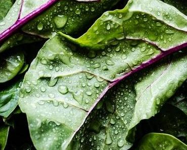 C’est le retour des salades ! 3 recettes qui vont ravir toute la famille…
