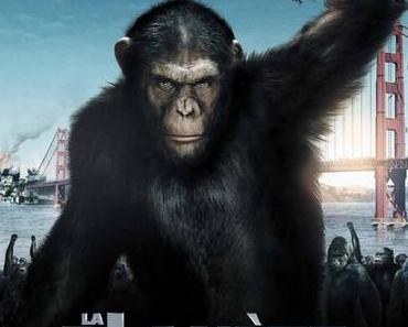 Le Règne Animal Débarque Sur Ciné +
