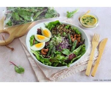 Salade composée aux jeunes pousses, lentilles vertes, asperges et œufs durs