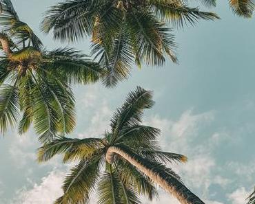wallpaper-1689754